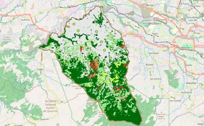 mapa_cobertura_vegetal